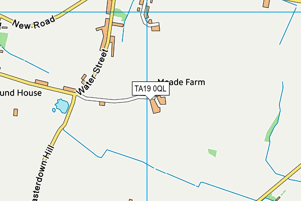 TA19 0QL map - OS VectorMap District (Ordnance Survey)