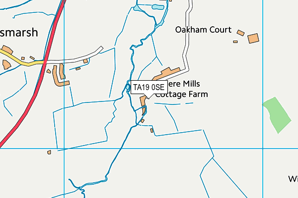 TA19 0SE map - OS VectorMap District (Ordnance Survey)