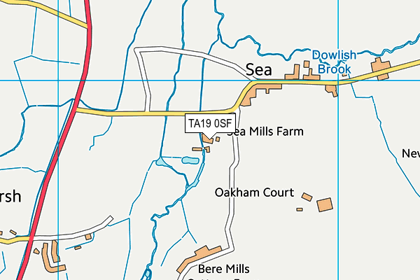 TA19 0SF map - OS VectorMap District (Ordnance Survey)