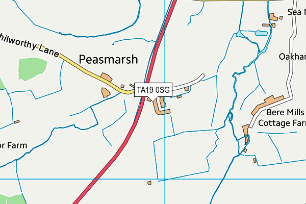 TA19 0SG map - OS VectorMap District (Ordnance Survey)