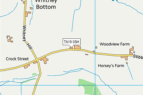 TA19 0SH map - OS VectorMap District (Ordnance Survey)