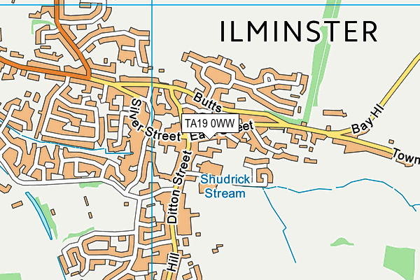 TA19 0WW map - OS VectorMap District (Ordnance Survey)