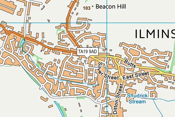 TA19 9AD map - OS VectorMap District (Ordnance Survey)