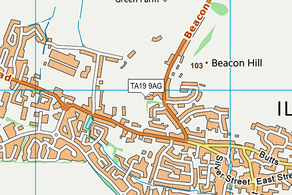 TA19 9AG map - OS VectorMap District (Ordnance Survey)