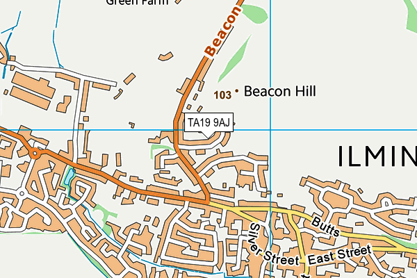 TA19 9AJ map - OS VectorMap District (Ordnance Survey)