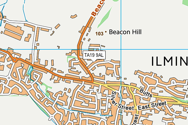 TA19 9AL map - OS VectorMap District (Ordnance Survey)