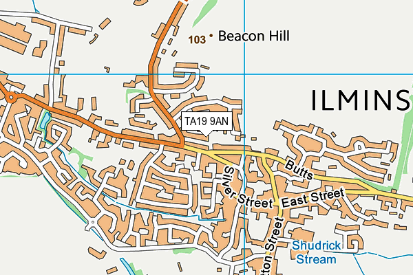 TA19 9AN map - OS VectorMap District (Ordnance Survey)