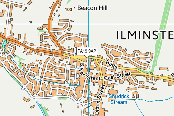 TA19 9AP map - OS VectorMap District (Ordnance Survey)