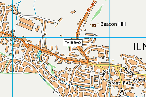 TA19 9AQ map - OS VectorMap District (Ordnance Survey)
