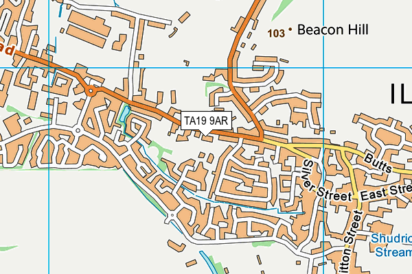TA19 9AR map - OS VectorMap District (Ordnance Survey)