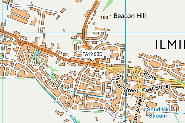 TA19 9BD map - OS VectorMap District (Ordnance Survey)