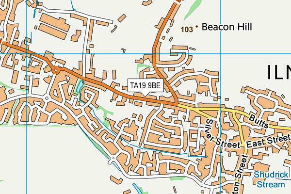 TA19 9BE map - OS VectorMap District (Ordnance Survey)