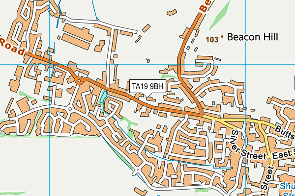 TA19 9BH map - OS VectorMap District (Ordnance Survey)