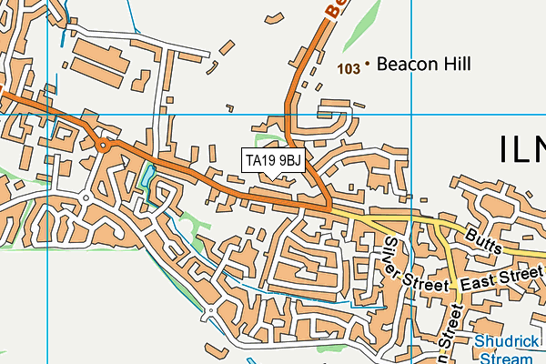 TA19 9BJ map - OS VectorMap District (Ordnance Survey)