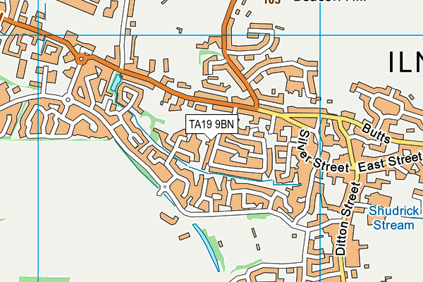 TA19 9BN map - OS VectorMap District (Ordnance Survey)
