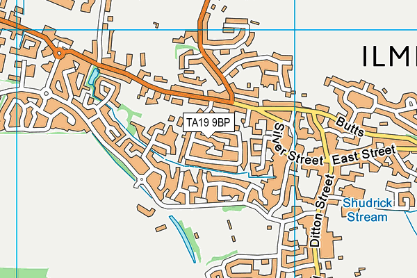 TA19 9BP map - OS VectorMap District (Ordnance Survey)