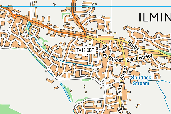 TA19 9BT map - OS VectorMap District (Ordnance Survey)