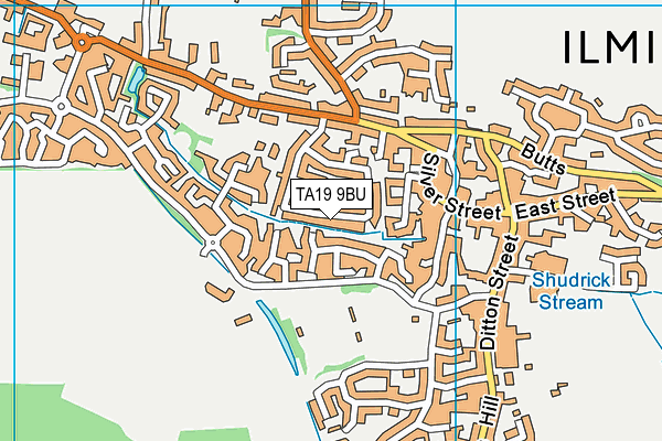 TA19 9BU map - OS VectorMap District (Ordnance Survey)