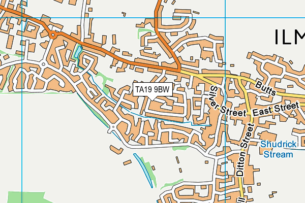 TA19 9BW map - OS VectorMap District (Ordnance Survey)
