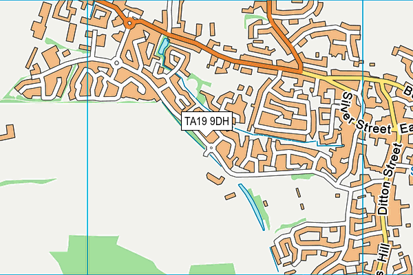TA19 9DH map - OS VectorMap District (Ordnance Survey)
