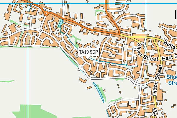 TA19 9DP map - OS VectorMap District (Ordnance Survey)