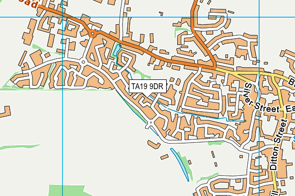 TA19 9DR map - OS VectorMap District (Ordnance Survey)