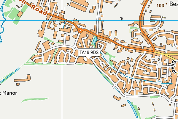 TA19 9DS map - OS VectorMap District (Ordnance Survey)