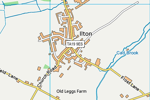 TA19 9ES map - OS VectorMap District (Ordnance Survey)