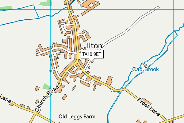 TA19 9ET map - OS VectorMap District (Ordnance Survey)