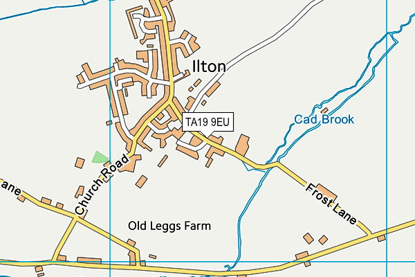 TA19 9EU map - OS VectorMap District (Ordnance Survey)