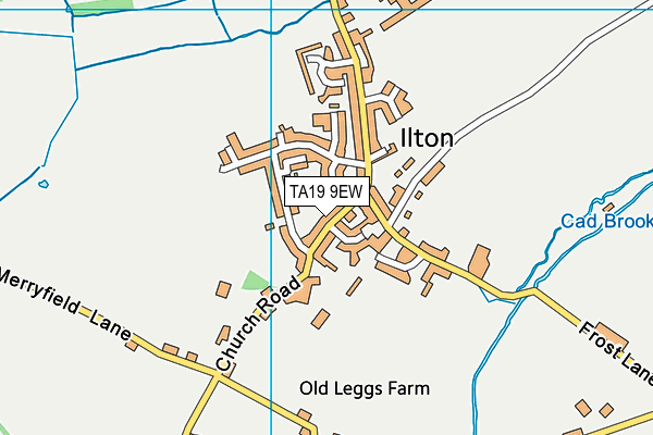 TA19 9EW map - OS VectorMap District (Ordnance Survey)