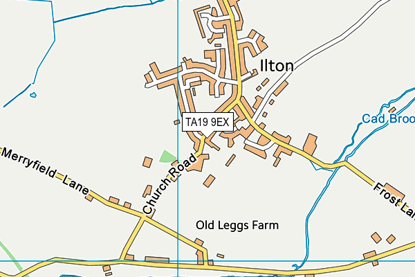 St Mary's & St Peter's Church School map (TA19 9EX) - OS VectorMap District (Ordnance Survey)