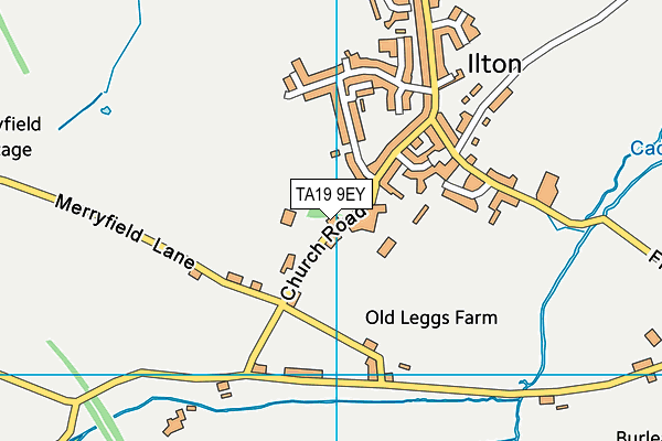 TA19 9EY map - OS VectorMap District (Ordnance Survey)