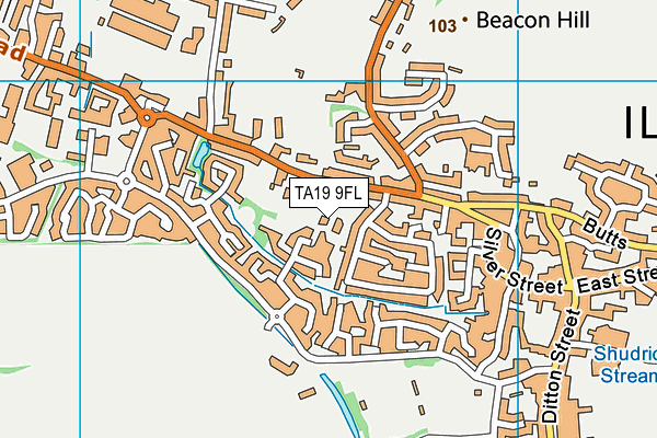 TA19 9FL map - OS VectorMap District (Ordnance Survey)