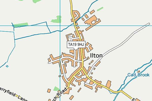 TA19 9HJ map - OS VectorMap District (Ordnance Survey)