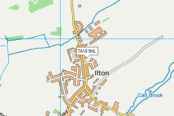 TA19 9HL map - OS VectorMap District (Ordnance Survey)