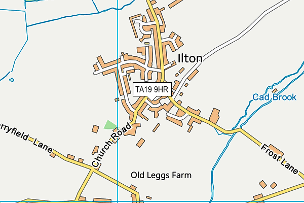 TA19 9HR map - OS VectorMap District (Ordnance Survey)
