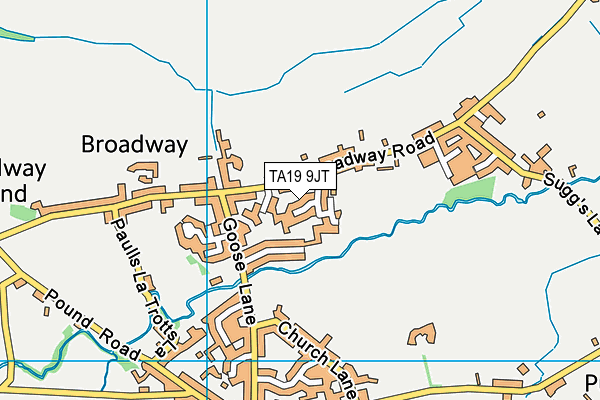 TA19 9JT map - OS VectorMap District (Ordnance Survey)