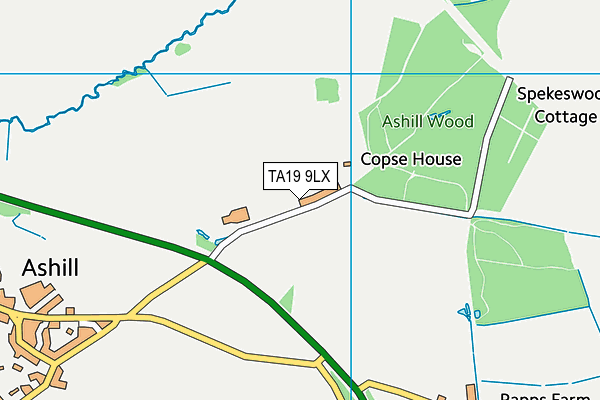 TA19 9LX map - OS VectorMap District (Ordnance Survey)