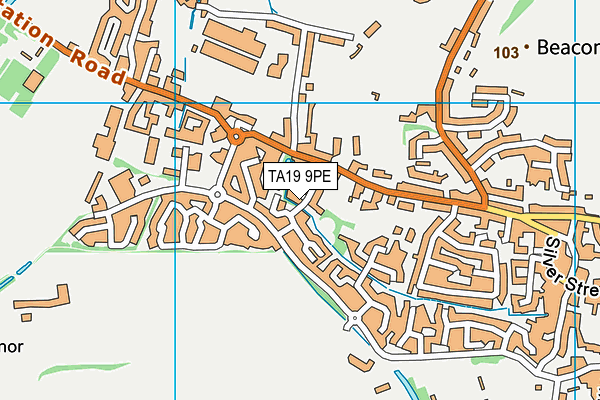 TA19 9PE map - OS VectorMap District (Ordnance Survey)