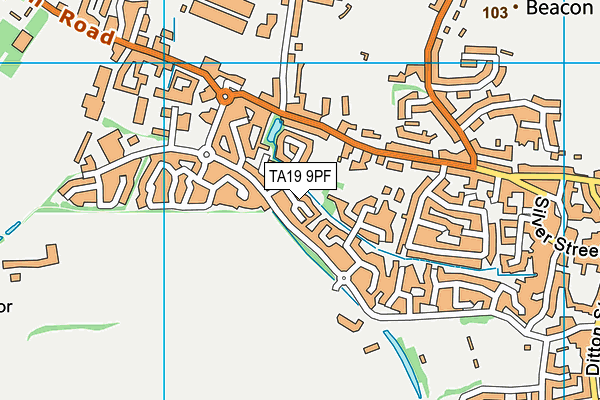 TA19 9PF map - OS VectorMap District (Ordnance Survey)