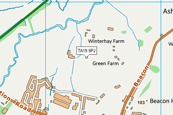 TA19 9PJ map - OS VectorMap District (Ordnance Survey)