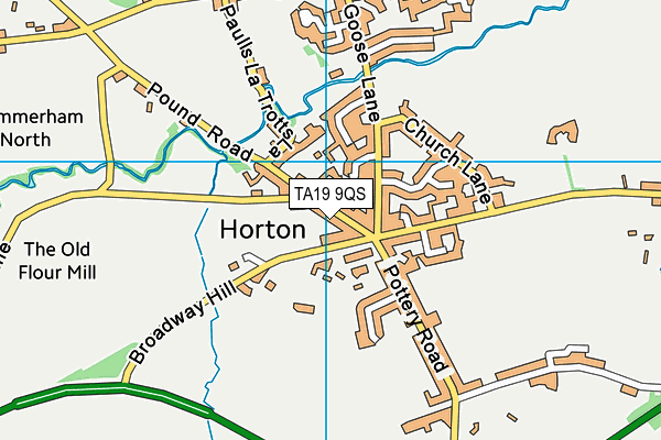 TA19 9QS map - OS VectorMap District (Ordnance Survey)