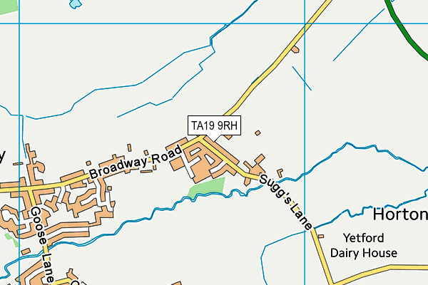 TA19 9RH map - OS VectorMap District (Ordnance Survey)