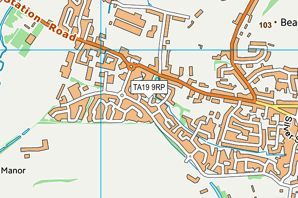 TA19 9RP map - OS VectorMap District (Ordnance Survey)