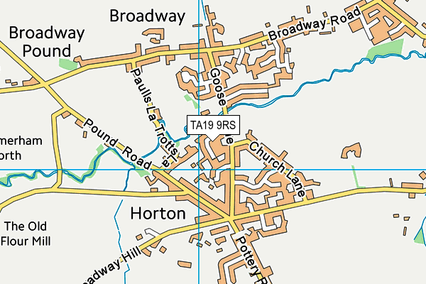 TA19 9RS map - OS VectorMap District (Ordnance Survey)