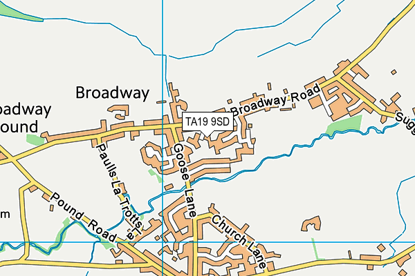 TA19 9SD map - OS VectorMap District (Ordnance Survey)