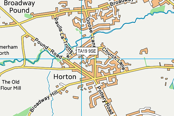 TA19 9SE map - OS VectorMap District (Ordnance Survey)