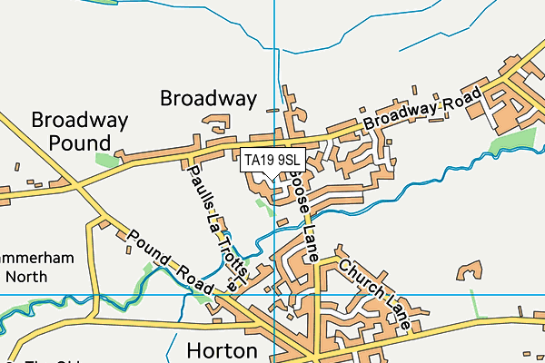 TA19 9SL map - OS VectorMap District (Ordnance Survey)