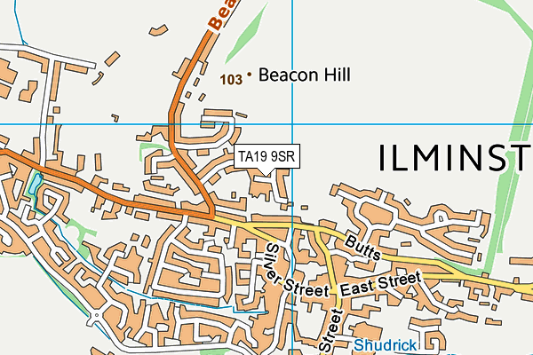 TA19 9SR map - OS VectorMap District (Ordnance Survey)